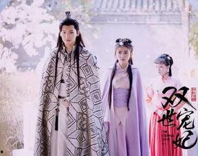 双世宠妃在线观看免费,穿越时空的甜蜜邂逅